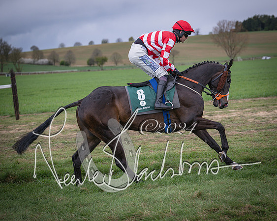 Race 6 - The Restricted Race (25 of 101)