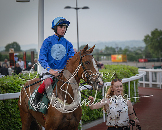 Race 5 - Mares Open Hunter Steeplechase 3m2f 70y (60 of 269)