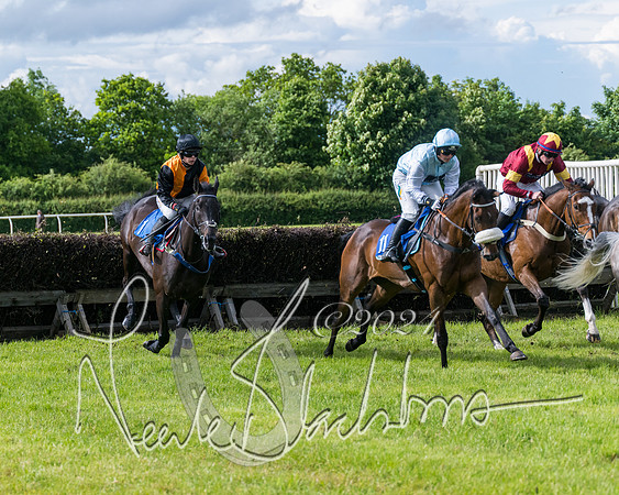 Race 5 - Restricted Race (206 of 434)