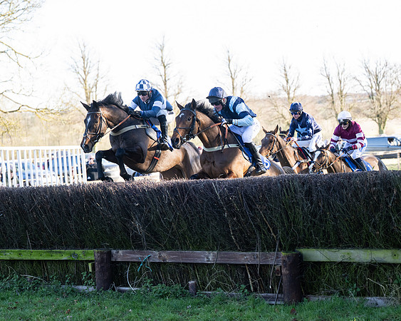 Race 5 - Maiden (46 of 123)