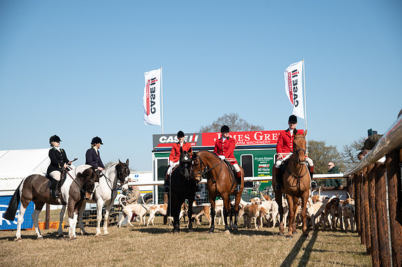 Hunt Horses annd Hound parade (6 of 44)