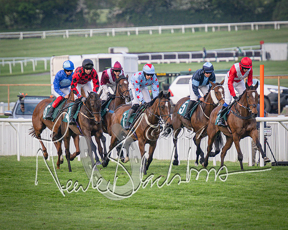 Race 5 - Mares Open Hunter Steeplechase 3m2f 70y (69 of 269)