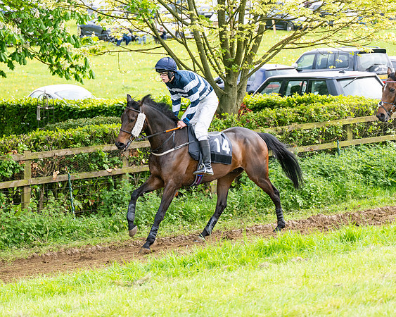 Race 5  - Novice riders (26 of 188)