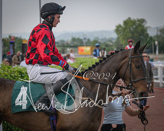 Race 5 - Mares Open Hunter Steeplechase 3m2f 70y (30 of 269)