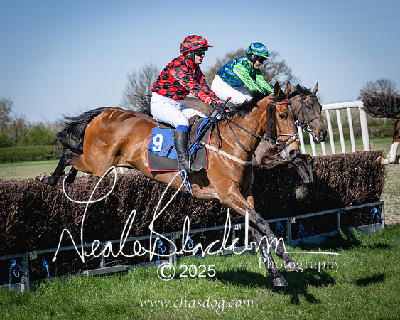 Race 5 - The restricted (58 of 113)