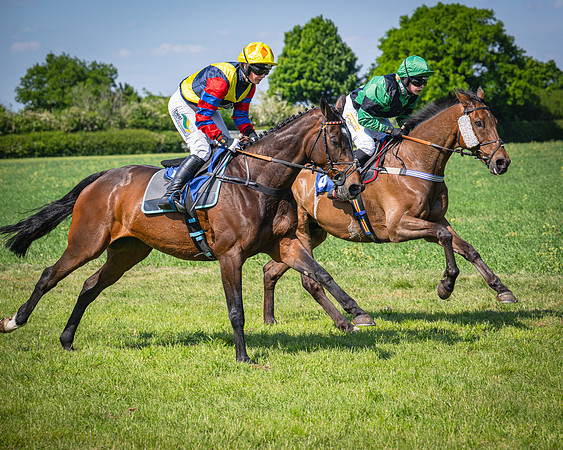 Race 3 The College and County Ladies Open Race (77 of 122)