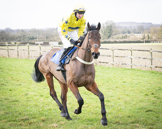 Race 1 - Four and Five year Old Maiden (35 of 137)