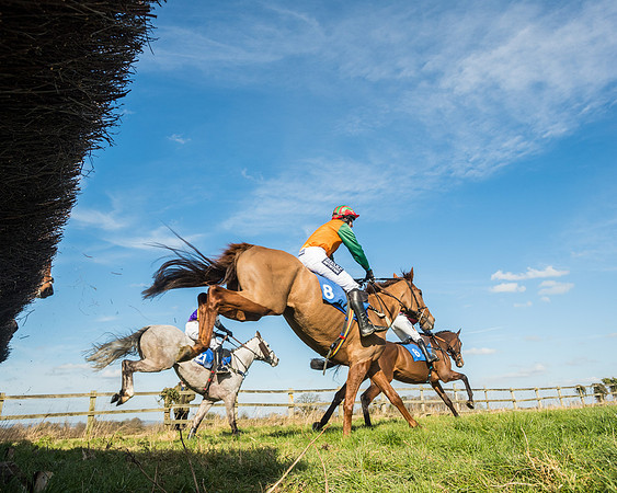 Race 1 - Open Maiden Division 2 (92 of 173)