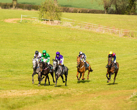 Race 5 - Restricted  (15 of 118)