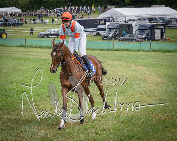 Race 1 - The owner-trainer Conditions race (14 of 118)