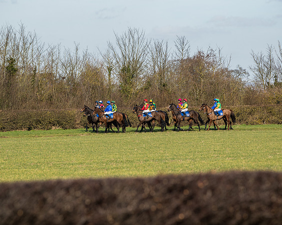Race 1 - Open Maiden Division 1 (59 of 170)