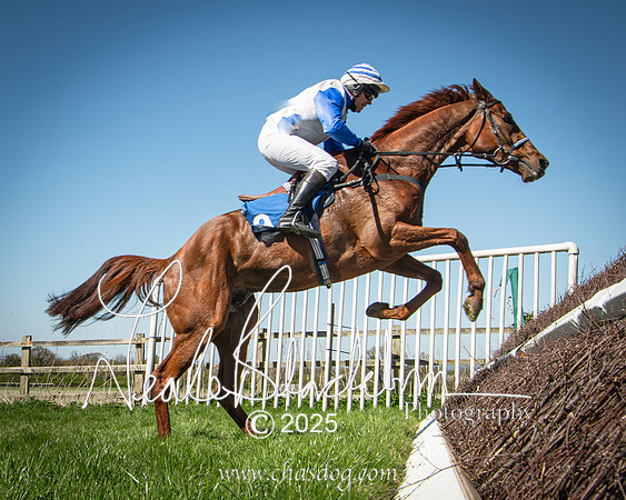 Race 2 - The Maiden (78 of 118)