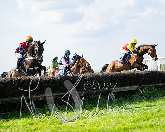 Race 5  - Maiden race 2m5F Div-1 (123 of 197)