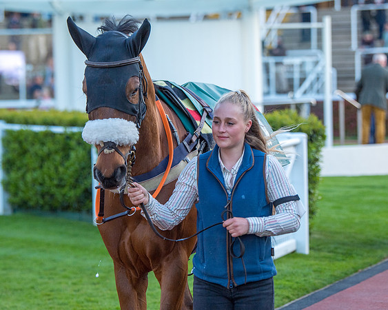 Race 7 - Glos Hussars  (1 of 245)