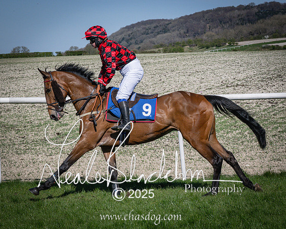 Race 5 - The restricted (37 of 113)