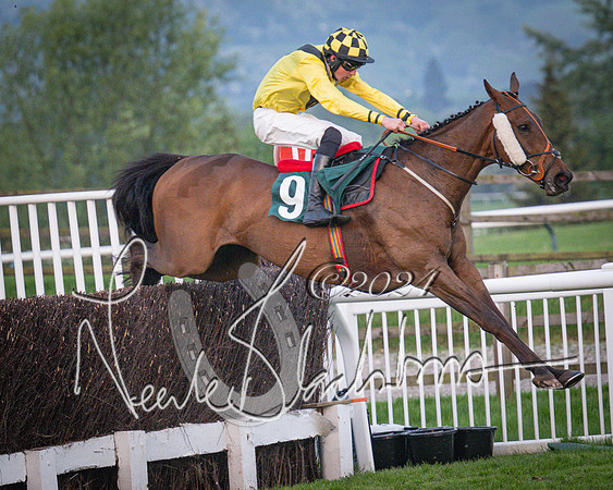 Race - 7 The Royal Gloucester Hussars Open Hunter's steeplechase 2m4f 127y (133 of 210)