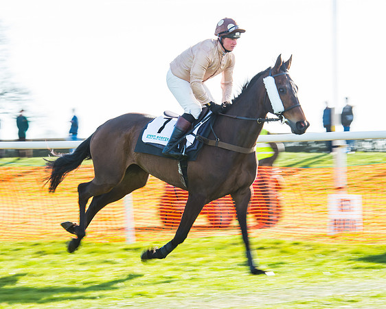 Race 5 - TBA members Mares and Fillies race (22 of 101).jpg