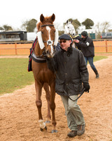 Merrydown Vintage - Phil York (37 of 57)