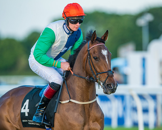 Race 7 - ITM Bumper (33 of 72)