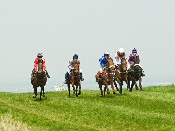 Ponies and Hounds 1
