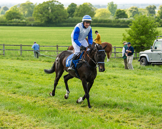 Race 6 - Maiden [2m4f] (25 of 135)