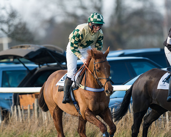 Race 2 - PPORA Novice Riders  (18 of 205)