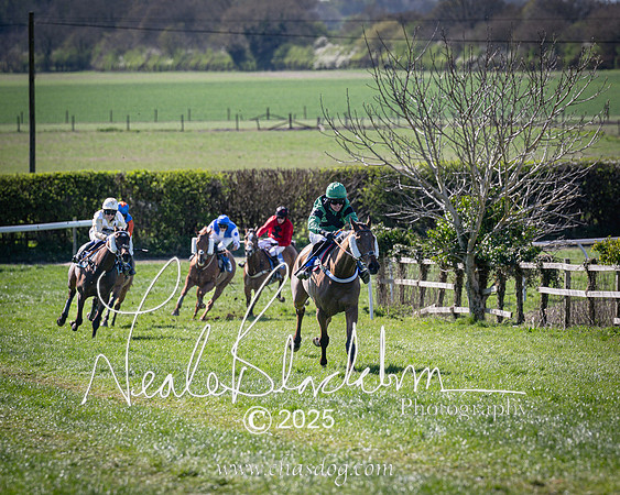 Race 4 - Mixed Open (107 of 168)