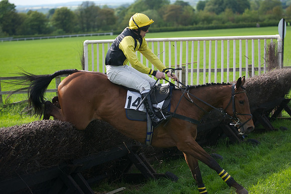 Race 6 -  46