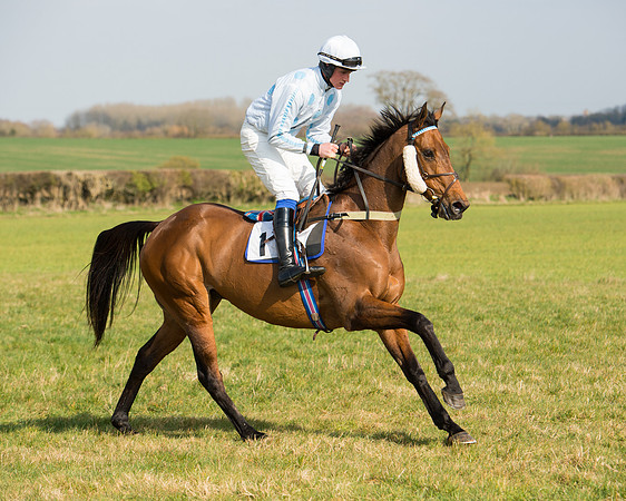 Race 2 - COnfined Hunts race (16 of 144).jpg