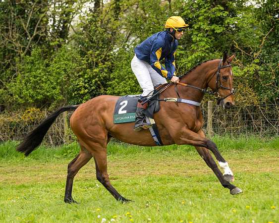 Race 7 - Open Maiden  (27 of 106)