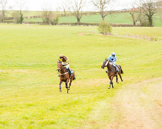 Race 6 - 6 year old and over Maiden 2m4f (26 of 62)