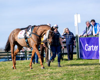 Race 5 - PPORA Five years and over (7 of 163)