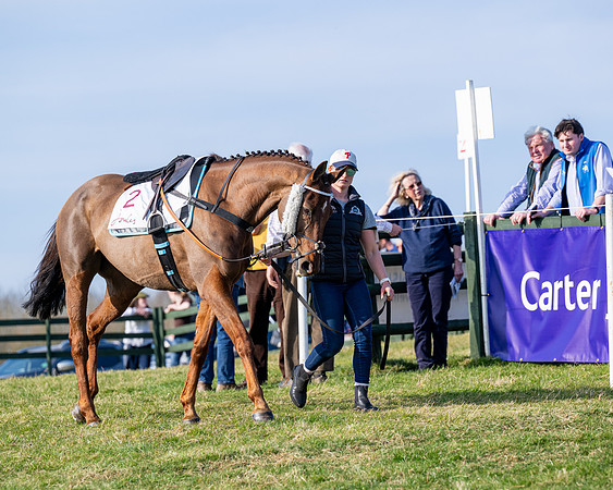 Race 5 - PPORA Five years and over (7 of 163)