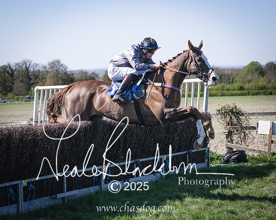 Race 5 - The restricted (75 of 113)