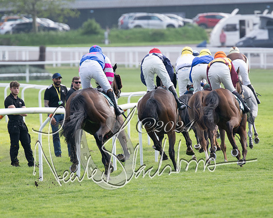 Race 1 - The Bottle Green Open Hunters steeplechase 2m62y (43 of 93)
