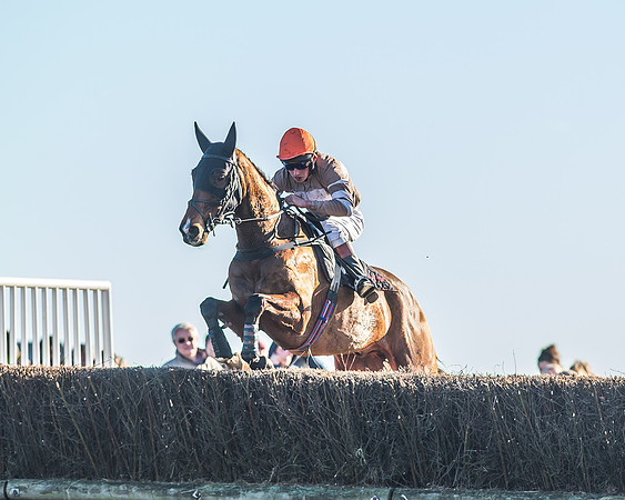Race 1 - PPORA Novice Riders Race-61