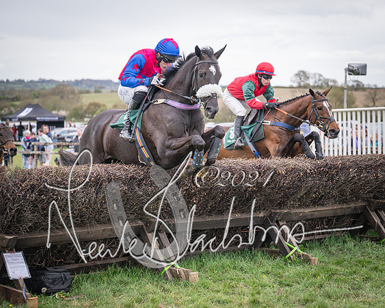 Race 6 - The Restricted Race (54 of 101)