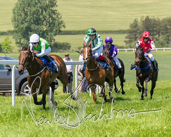 Pony Races  (78 of 141)
