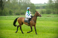 Ponies - 5