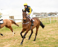 Race 6 - Open Maiden (5 of 100).jpg