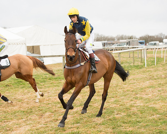 Race 6 - Open Maiden (5 of 100).jpg