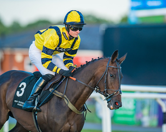 Race 7 - ITM Bumper (28 of 72)