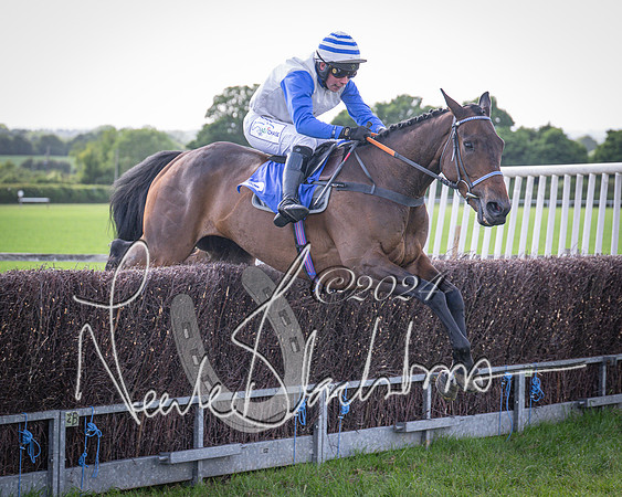 Race 6 - Thorn Plant Hire Maiden Race (87 of 129)