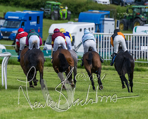 Race 5 - Restricted Race (232 of 434)