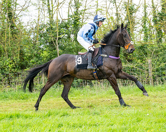 Race 2 - 2M4F Conditions (52 of 195)