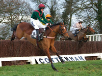 CHHC - Young Horse Maiden Division 2