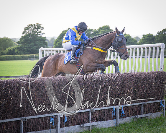Race 6 - Thorn Plant Hire Maiden Race (97 of 129)