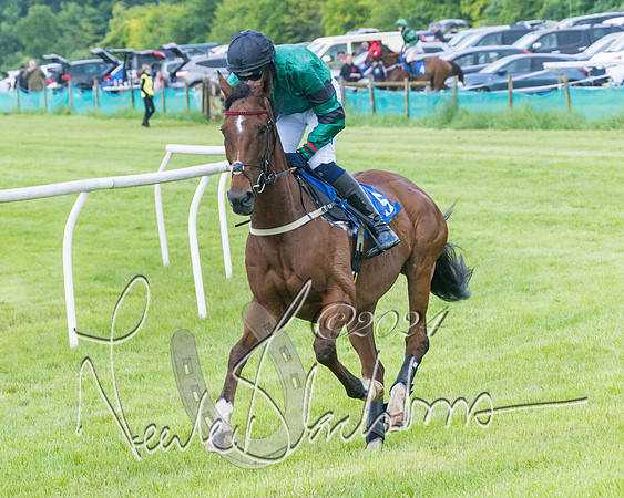 Race 4 - Mixed Open (80 of 591)