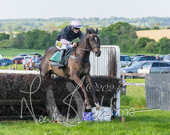 Race 7 - Veteran Horse (162 of 246)