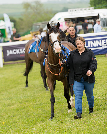 Pony Race 2 (1 of 113)